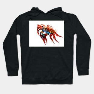 Crab Hoodie